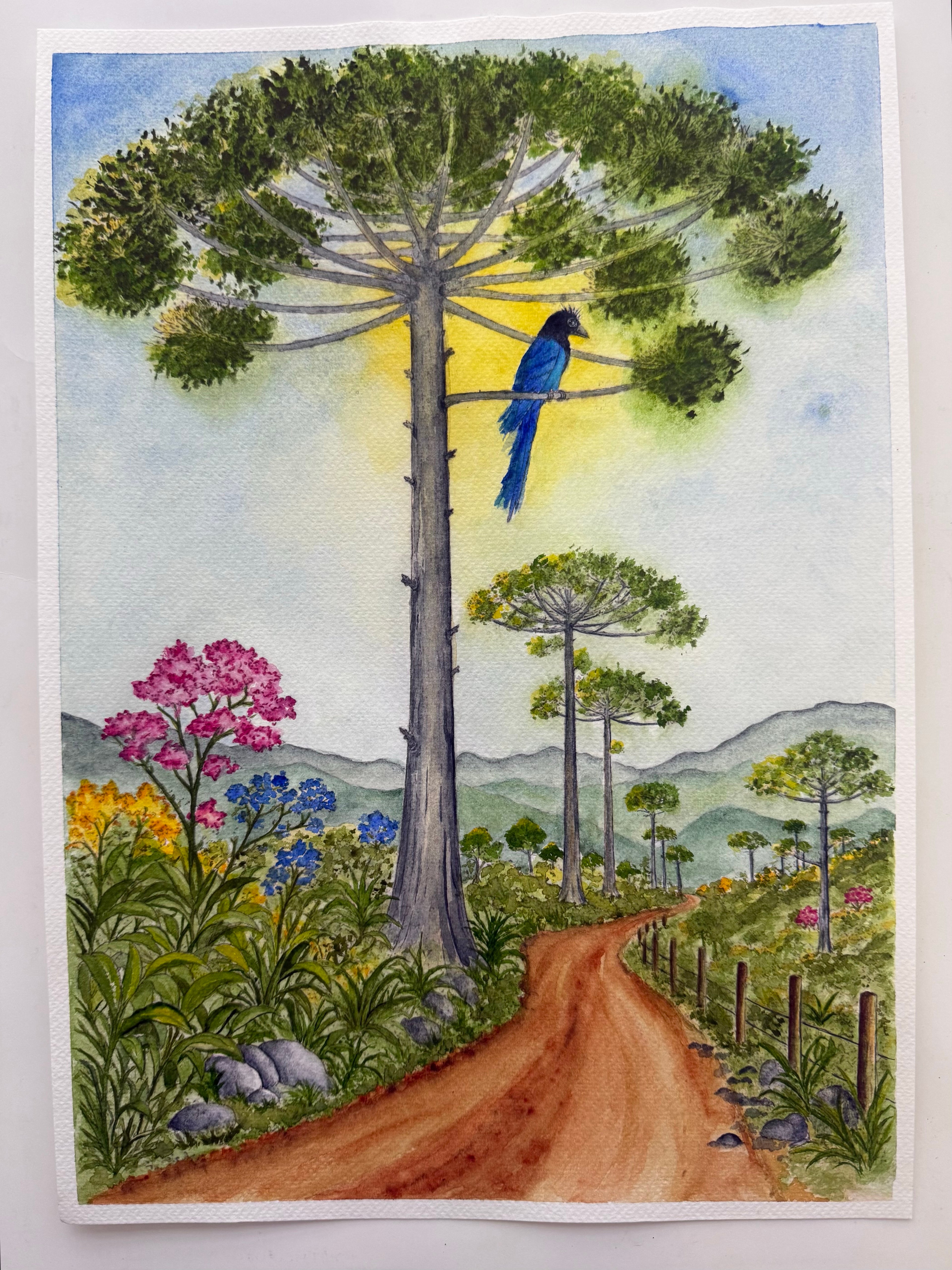 Gralha Azul - Pintura em Aquarela profissional sobre papel de algodão, 30x42 cm, sem moldura, feito à mão