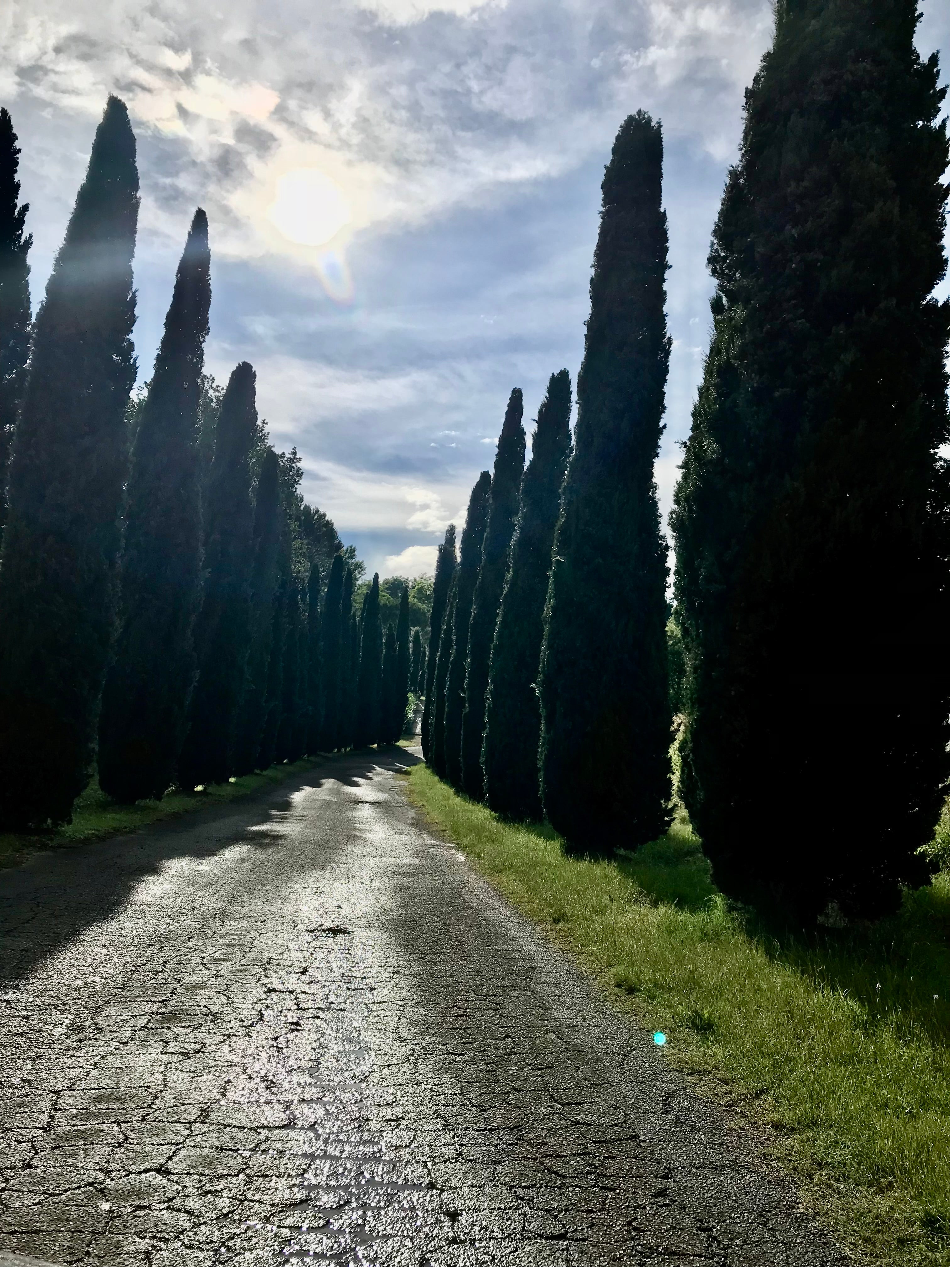 Fotografia Digital San Gimignano, Toscana, Itália - 300dpi